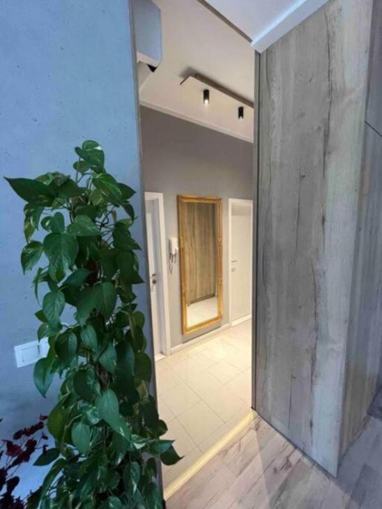 Cozy Apartment Bratislava Exteriör bild